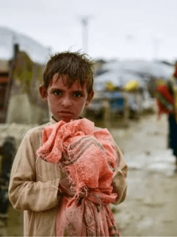 UNICEF Council